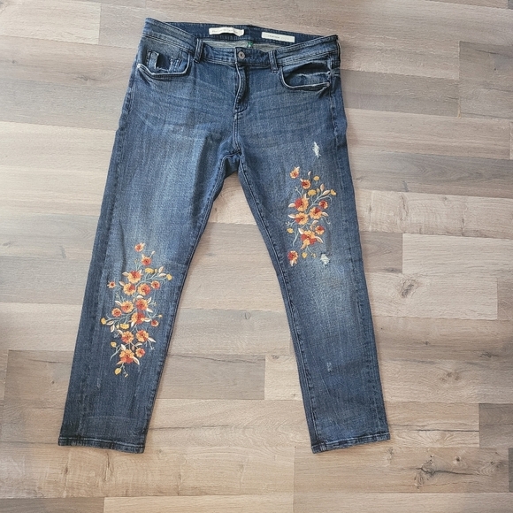 Anthropologie Denim - Anthropologie Pilcro and Letterpress Floral Embroidery Jeans Slim Boyfriend Sz31